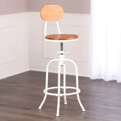 Adjustable Swivel Stool with Back
