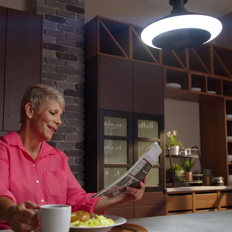 Breeze Brite Fan with LED Light