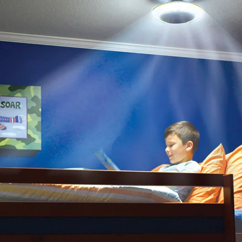 Breeze Brite Fan with LED Light