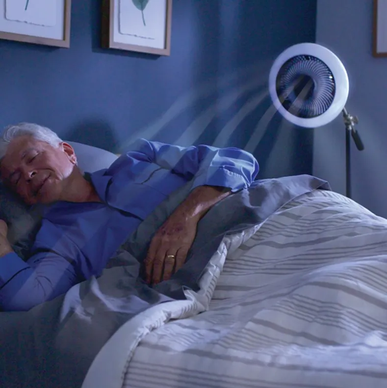 Breeze Brite Fan with LED Light
