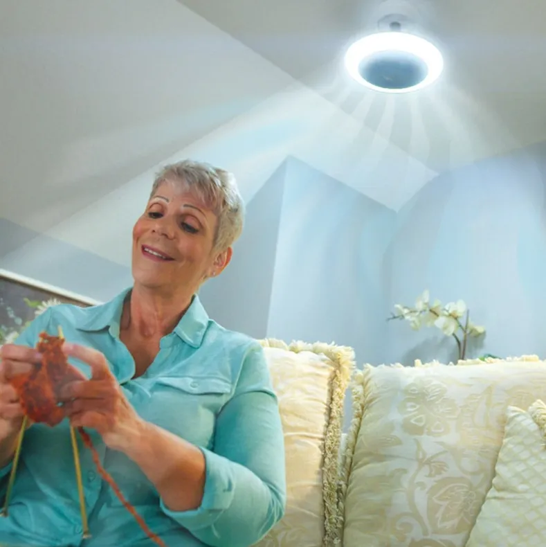 Breeze Brite Fan with LED Light