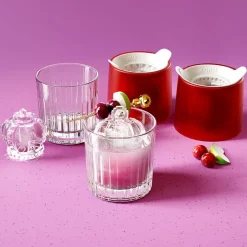 Cocktail Glass and Crown Ice Mold Gift Set