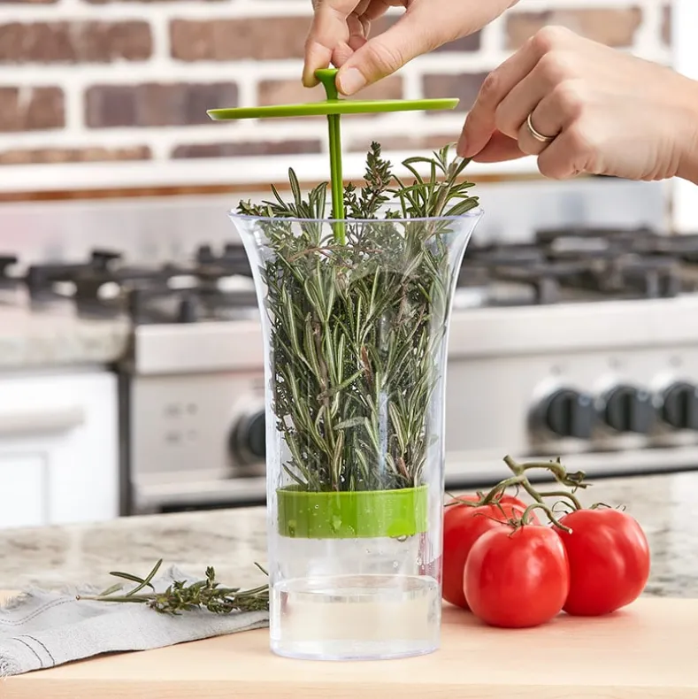 Easy-Pull Kitchen Herb Saver Storage for Refrigerator