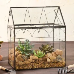 Glass And Metal Garden Terrarium