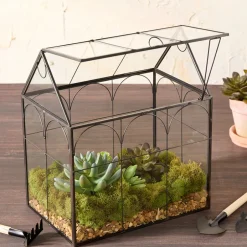 Glass And Metal Garden Terrarium