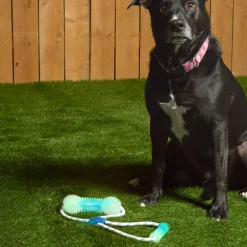 Glow-in-the-Dark Bone Dog Toy - Fetch, Chew, and Tug Fun