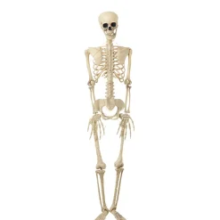 Halloween Skeleton Poseable Lighted Decor 16 Inch 35 Inch and 65 Inch