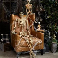 Halloween Skeleton Poseable Lighted Decor 16 Inch 35 Inch and 65 Inch