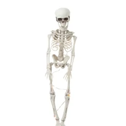 Halloween Skeleton Poseable Lighted Decor 16 Inch 35 Inch and 65 Inch