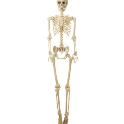 Halloween Skeleton Poseable Lighted Decor 16 Inch 35 Inch and 65 Inch