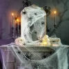 Halloween Spider Decor - 24 Piece Set
