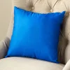 Indigo Accent Pillow