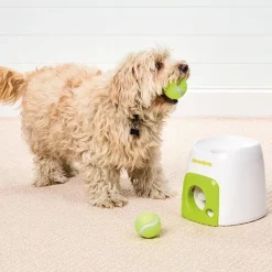 Interactives™ Fetch ‘N Treat Dog Ball Reward Toy