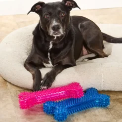 Jumbo Spike Chew Bone Toy Pink Or Blue With Squeaker For Dental Health