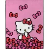 Kids' Popular Character Silk Touch Throw 46" x 60"