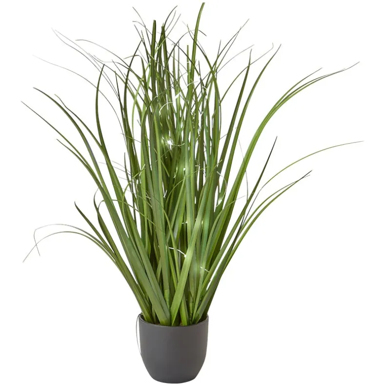 Lighted Flower Indoor Potted Plant