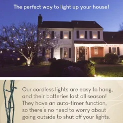 Lighticle Light