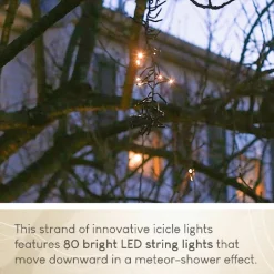Lighticle Light