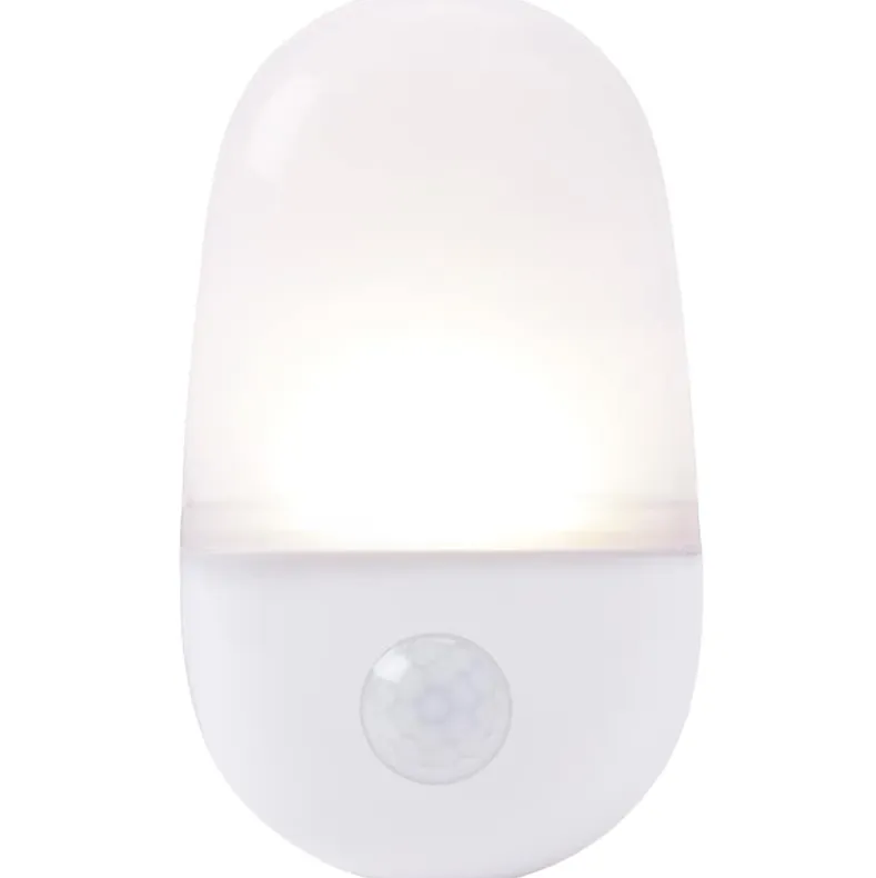 Motion Sensor Light