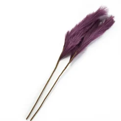 Natural Hays and Grasses Home Accents