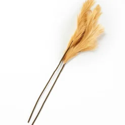 Natural Hays and Grasses Home Accents