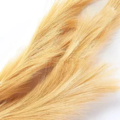Natural Hays and Grasses Home Accents