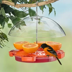 Oriole Food And Nectar Feeder