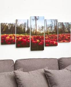 5-Pc. Canvas Wall Art Set
