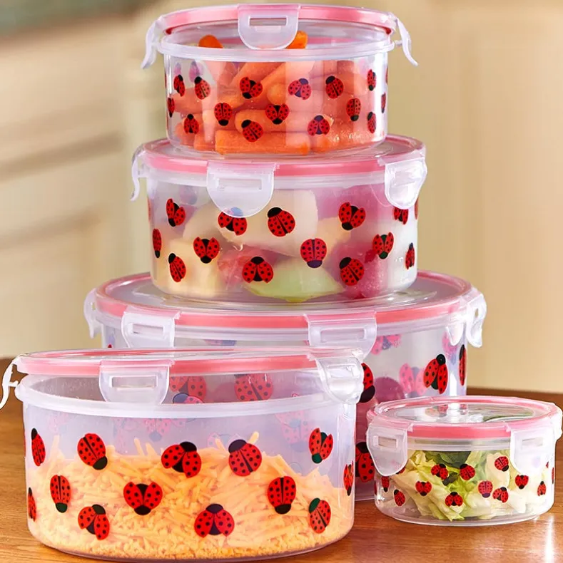 10-Pc. Printed Flip-Flop Storage Containers