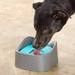 Pet-Able™ No Spill Dog and Cat 35 Oz Water Bowl