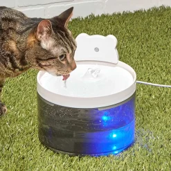 Pet Water Fountain