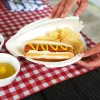 25-Pk. Foldable Perfect Plate