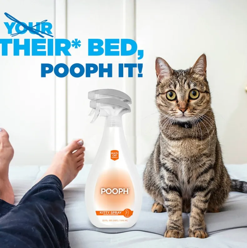 Pooph® Pet Odor And Stain Eliminator Or Kitty Spray Odor Eliminator