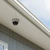Realistic Security Dome Camera