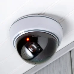 Realistic Security Dome Camera