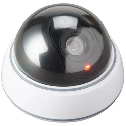 Realistic Security Dome Camera