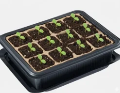 Seeder Tray Indoor or Outdoor Use