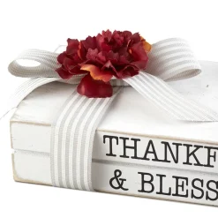 Set of 2 Vintage Book Decor Accents