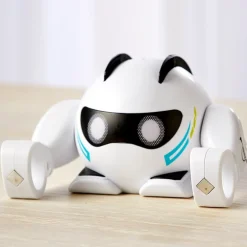 Smart Rolling Robot