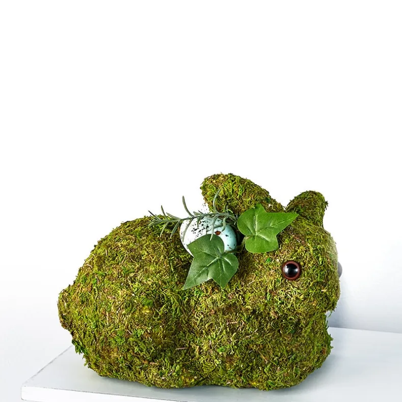 Spring Woodland Forest Home Collection