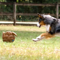SquWhirl Whistling Disc Dog Toy