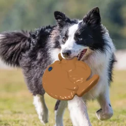 SquWhirl Whistling Disc Dog Toy