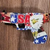 USA Eagle Gun Liner Lock Knife