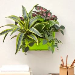 Wall Planting System