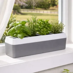 Windowsill Herb Planter - Self Watering